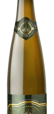 Gewurztraminer S&eacute;lection de Grains Nobles